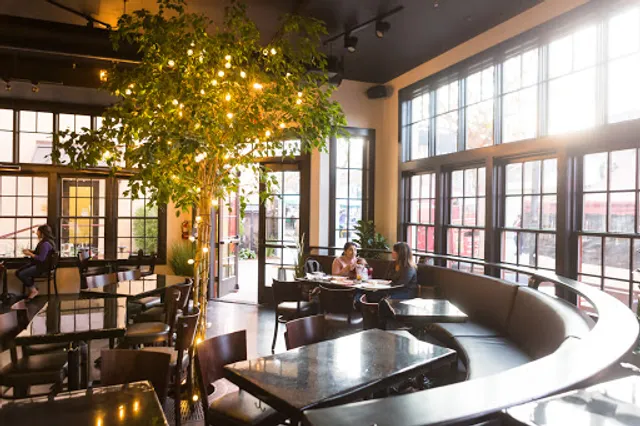 MidiCi The Neapolitan Pizza Company