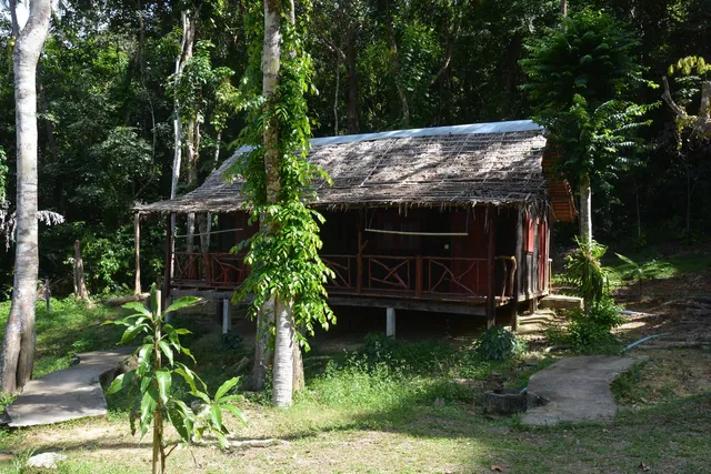 Paradise Lost Bungalows