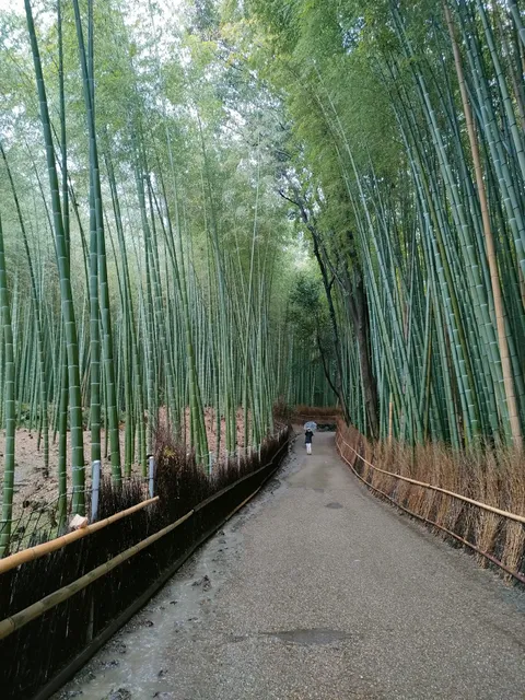 Arashiyama East Park