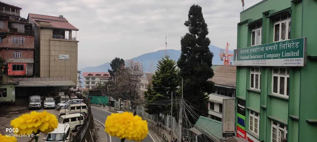 Hotel Mist Tree Mountain