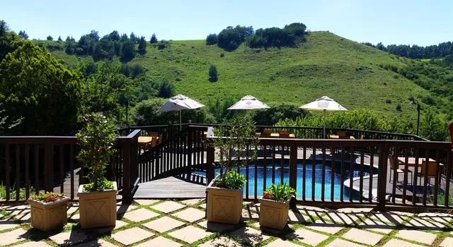 Granny Mouse Country House