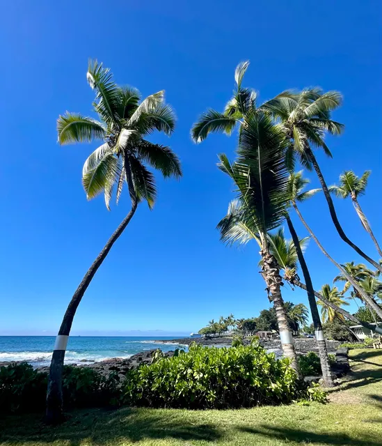 Kona Bali Kai Condos