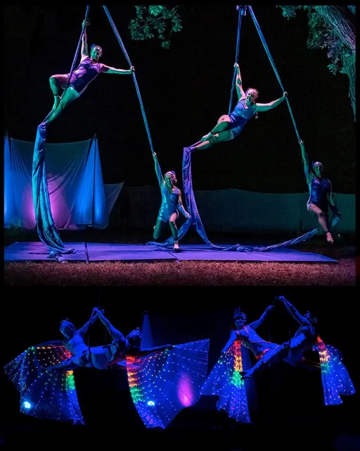 Cycropia Aerial Dance