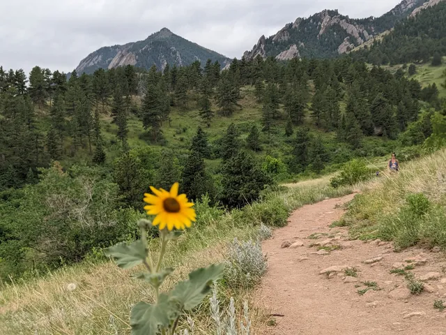 NCAR Trail Head