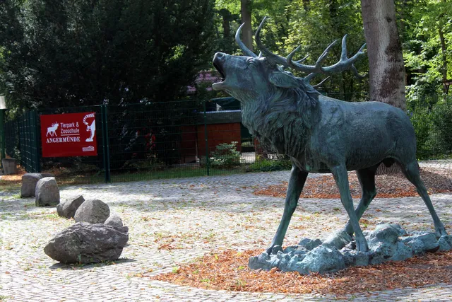 Tierpark Angermünde