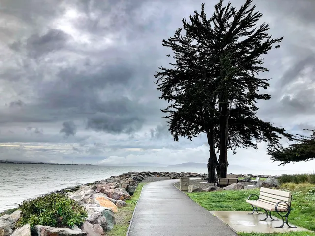 Emeryville Crescent State Marine Reserve