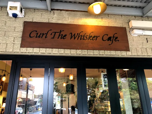 Curl the Whisker Cafe