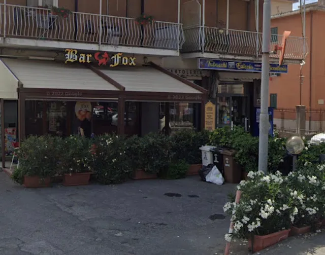 Bar Fox