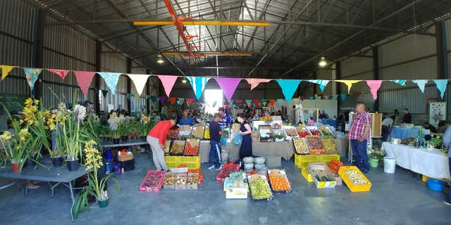 Pure Boland Farmer's Market - Groenstoor