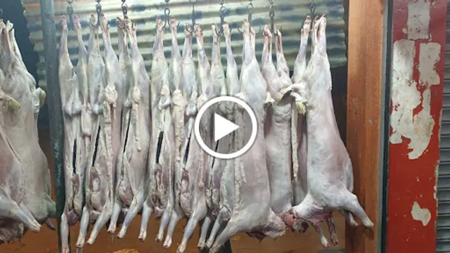 Ashoka Hotel, non Veg Restaurant