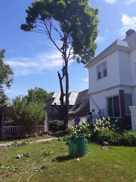 MC Greenfield Tree & landscape Service LLC