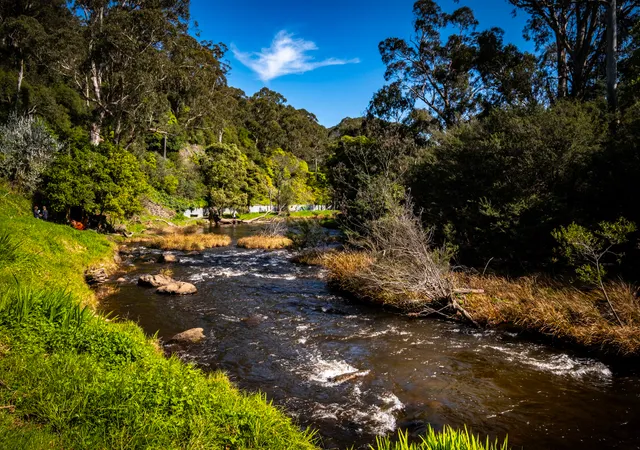 Yarra River Walking Track