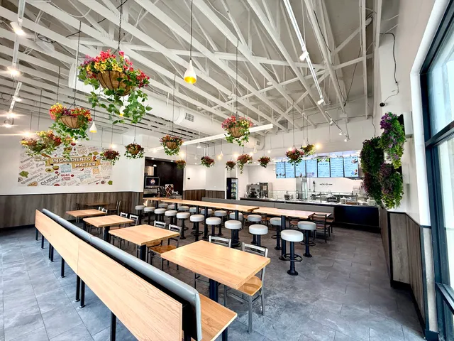 Dos Bros Fresh Mexican Grill -Mckinney