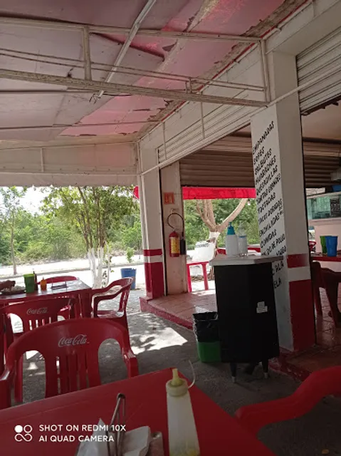 La Fuente Playa del Carmen