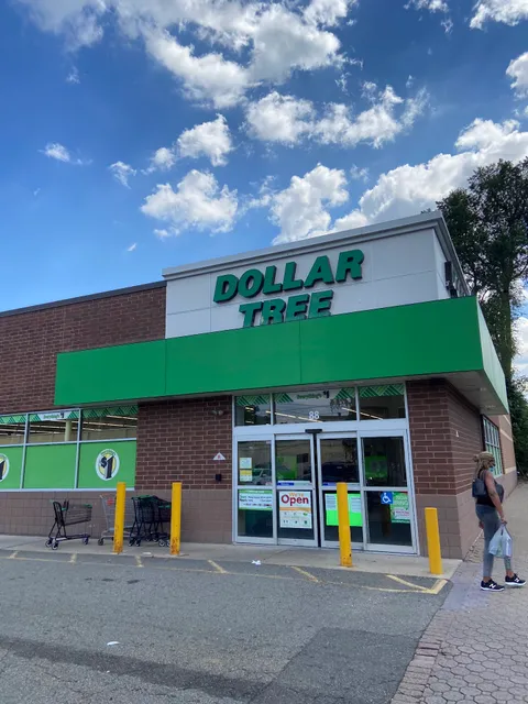 Dollar Tree