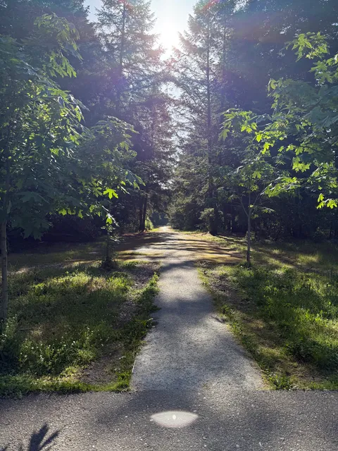 Swan Creek MTB and Dog Park Parking