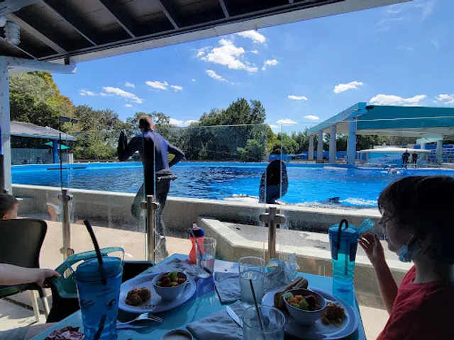 Up-Close Dining At Shamu