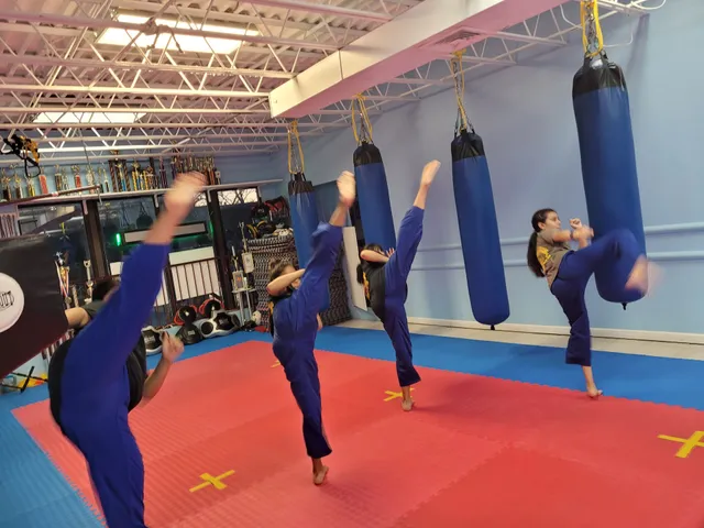 Americas finest karate kick boxing academy queens ny