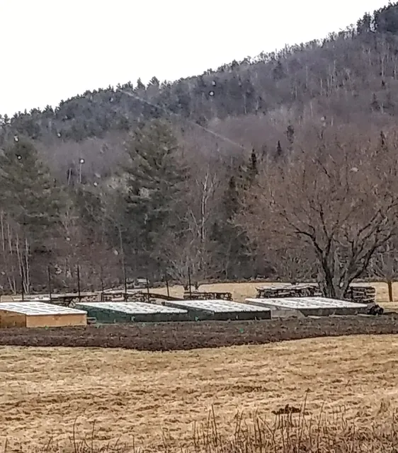 Tarrnation Flower Farm