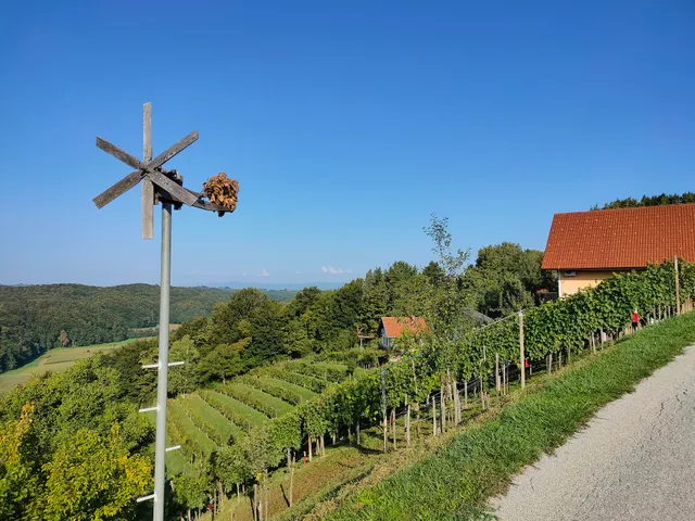 Wine & Nature & Tour