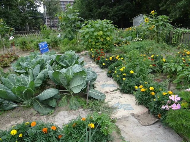 Let's Grow Akron Inc