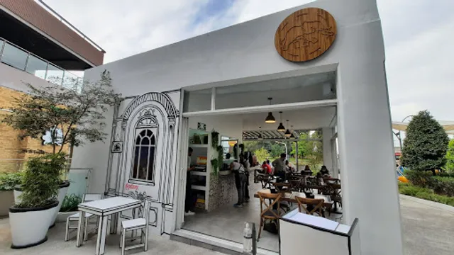 Pata de Elefante Zona Real