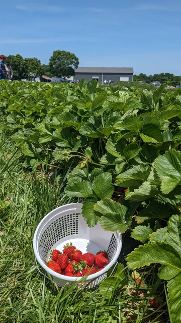 Gorman Farms CSA - Distribution Center