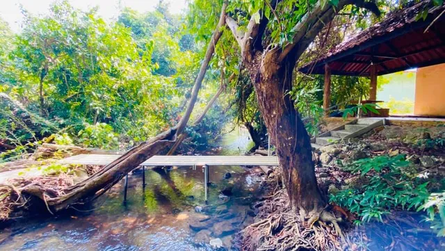 Ton Tarn Resort & Spa