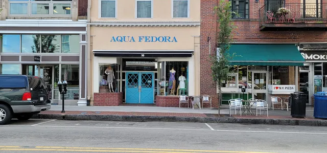 Aqua Fedora