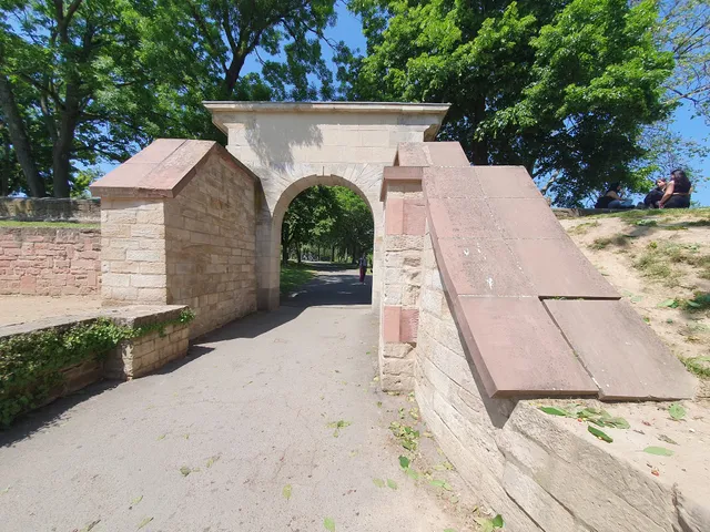 photo-2