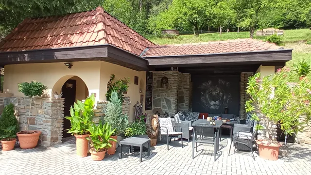 Cheetah Holiday Club