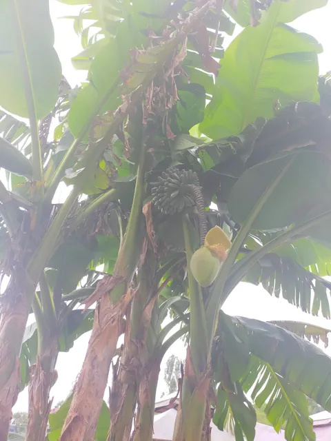 Gostevoy Dom "Piratskaya Pristan'"