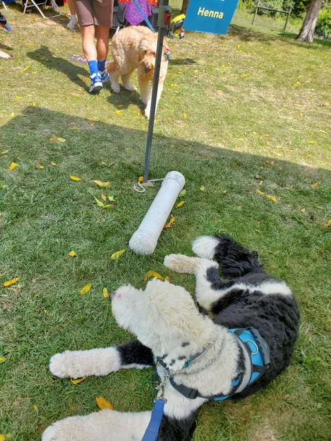 Shenandoah Valley Farm