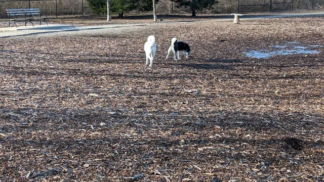 Scituate Dog Park