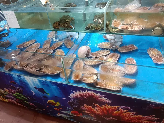Aquarium Seafood