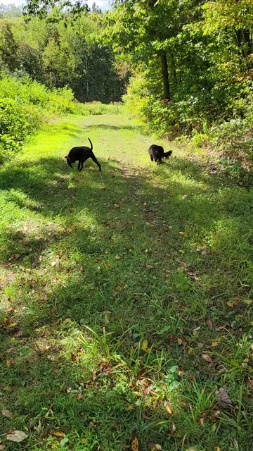 State Game Lands Number 173