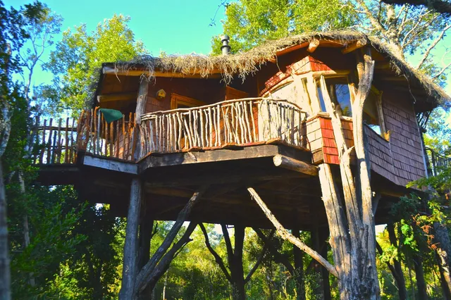 Tree Lodge Nidos de Pucon