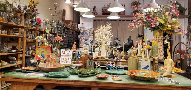 Diving Cat Studio Gallery