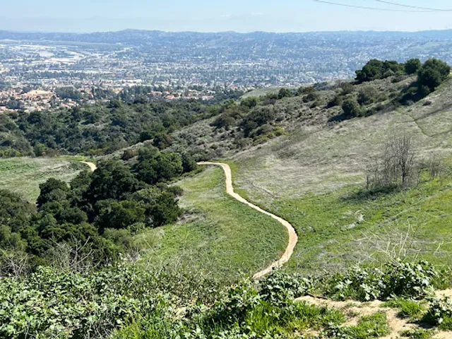 Schabarum Trail Peak