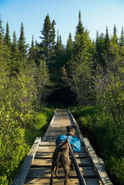 Eagle Mountain Trailhead