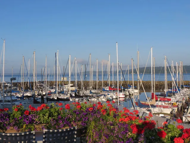 Anthony's Lower Deck