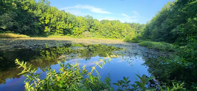 Blue Heron Park Nature Center