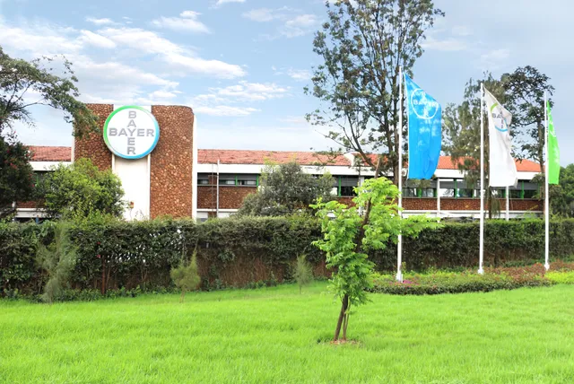 Bayer East Africa