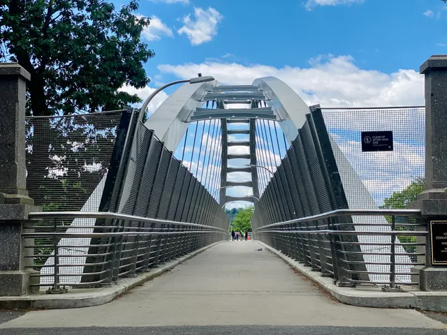 Pedestrian Bridge
