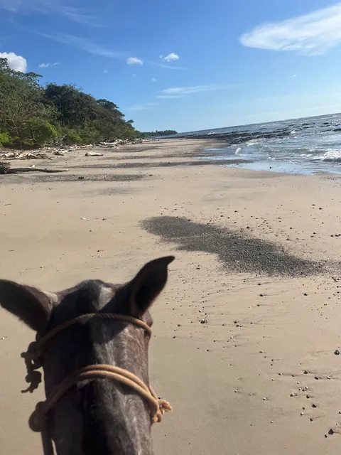 Guti Tours Horseback Riding