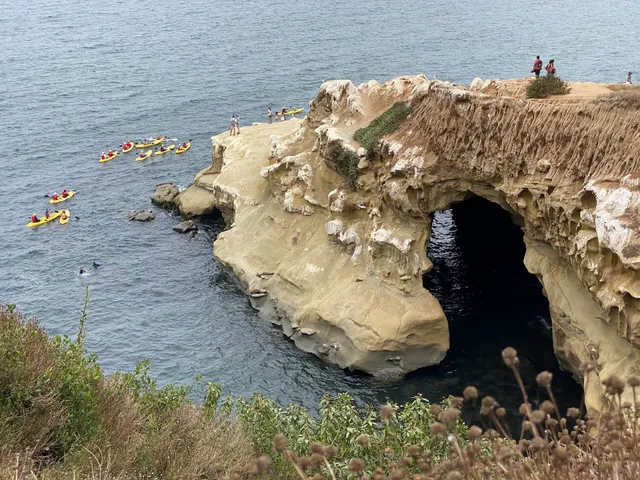 La Jolla Underwater Park