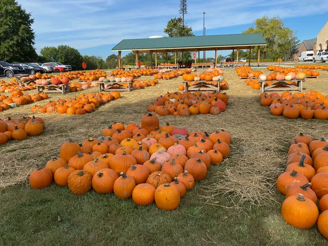 Grace Pumpkin Patch