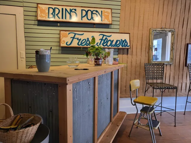 Brin's Posy Floral and Gifts