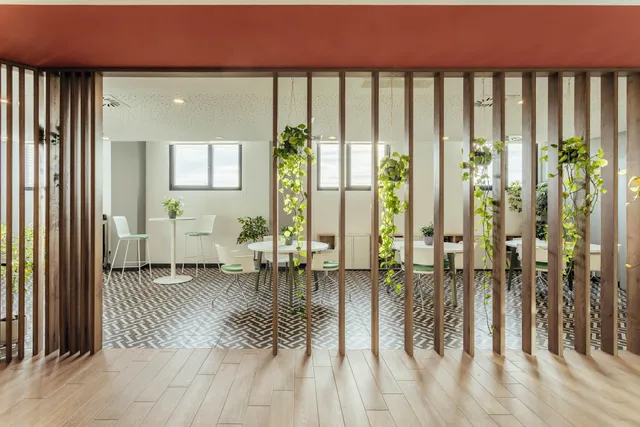 Camplus Salamanca Platina