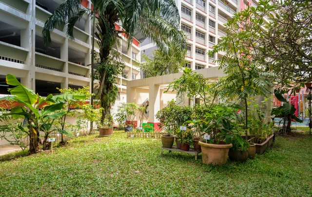 Kidz Meadow Childcare @ Woodlands